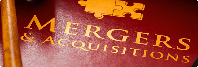 Mergers and Acquisitions Law Services from G V Reddy Advocates