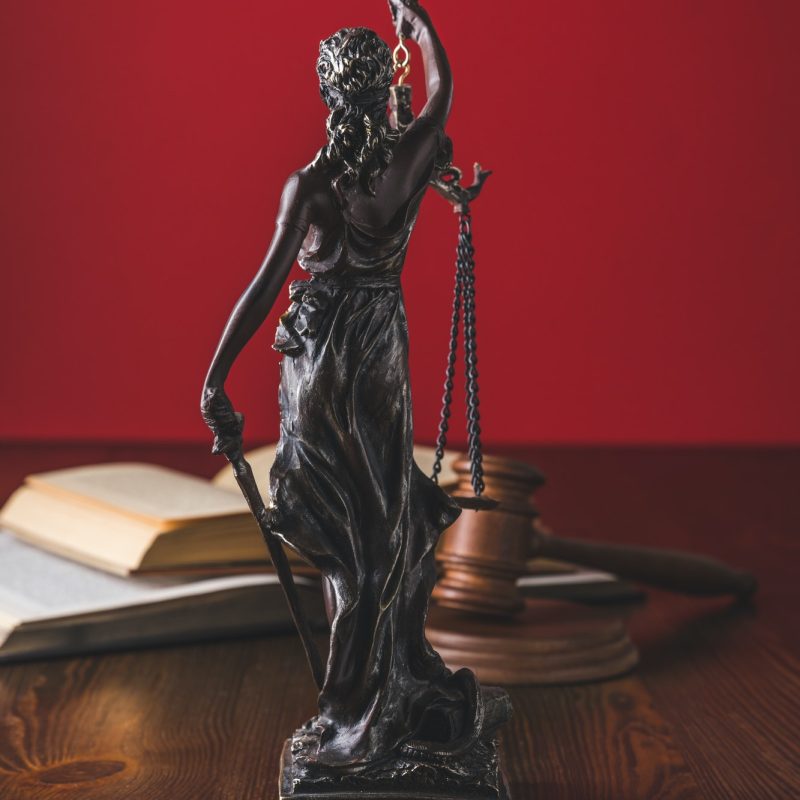 opened-juridical-books-with-lady-justice-statue-on-wooden-table-law-concept.jpg